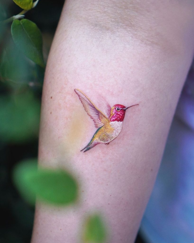 Small Colorful Hummingbird Tattoo by Seulki Park