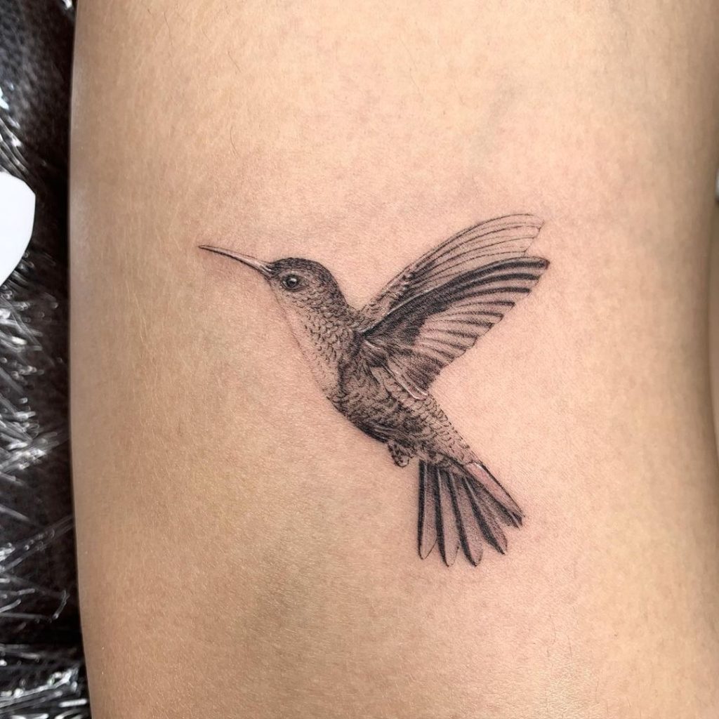 Fineline Dotwork Hummingbird Tattoo by Ajaxon