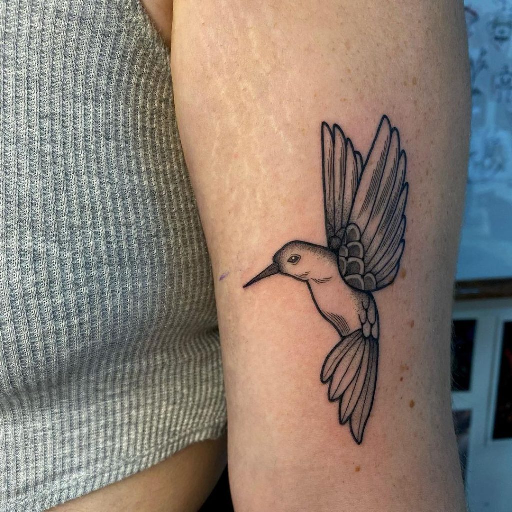 Fineline Dotwork Hummingbird Tattoo by Martha Craig