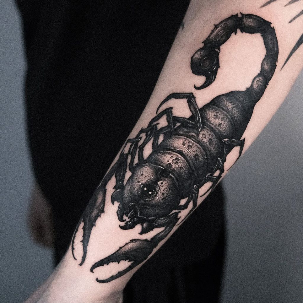 dark blackwork scorpion tattoo by heukdo